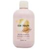 Ice Cream Argan Age - Pro-Age Shampoo