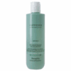 Amethyste Advance Regulate Sebo Control Shampoo