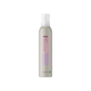 Project Definition Mousse