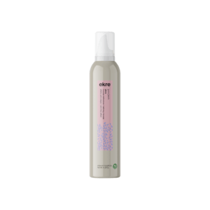 Project Definition Mousse