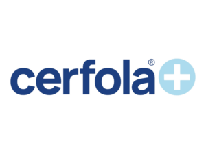Cerfola